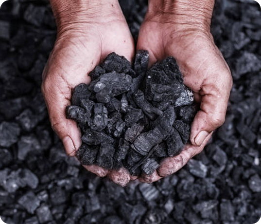 Coal